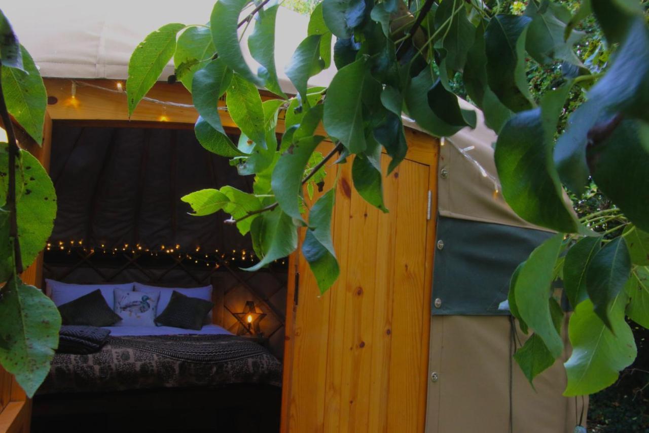 Stamford Meadows Glamping With Private Hot Tubs Hotel Bagian luar foto