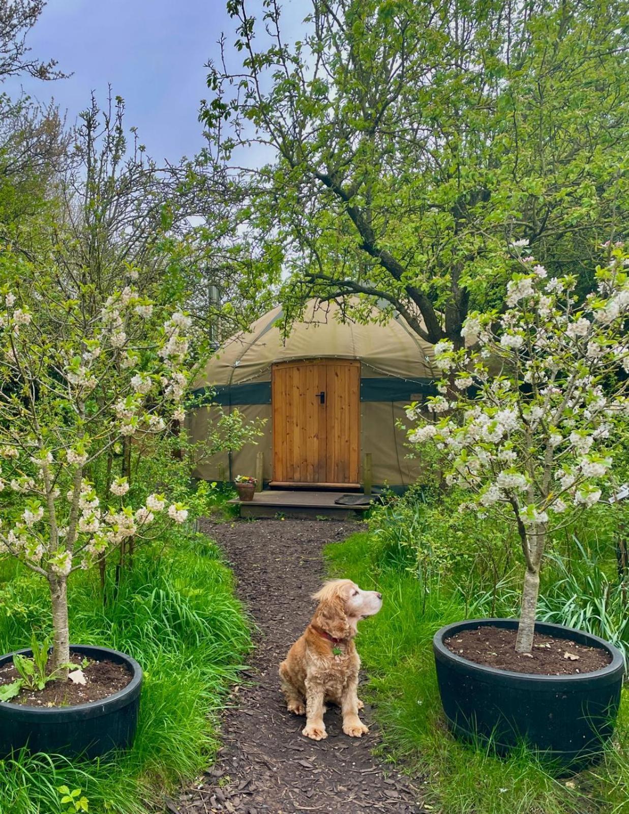 Stamford Meadows Glamping With Private Hot Tubs Hotel Bagian luar foto